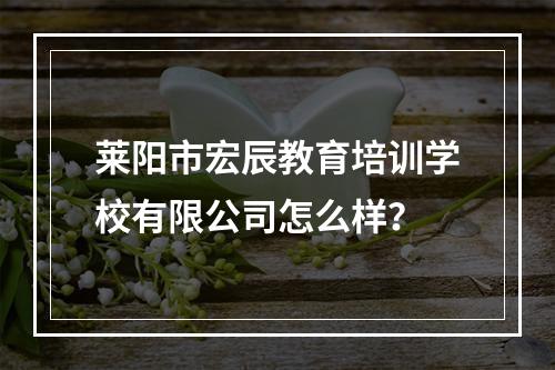 莱阳市宏辰教育培训学校有限公司怎么样？