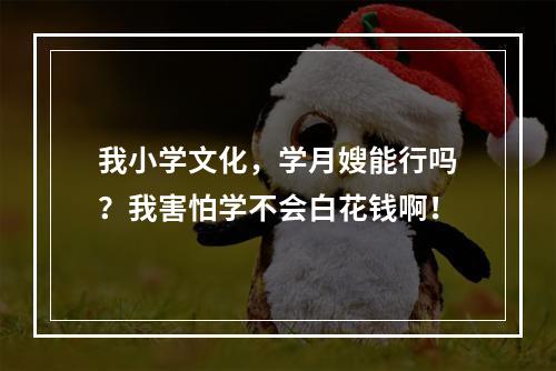 我小学文化，学月嫂能行吗？我害怕学不会白花钱啊！