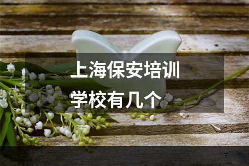 上海保安培训学校有几个