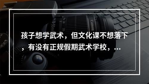 孩子想学武术，但文化课不想落下，有没有正规假期武术学校，寒假暑假的？