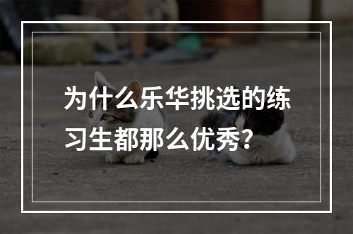 为什么乐华挑选的练习生都那么优秀？