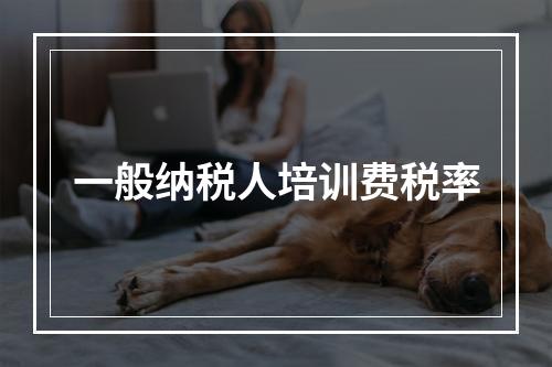 一般纳税人培训费税率