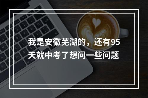 我是安徽芜湖的，还有95天就中考了想问一些问题