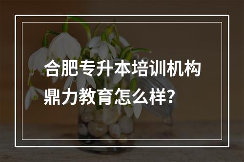 合肥专升本培训机构鼎力教育怎么样？