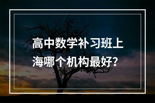 高中数学补习班上海哪个机构最好？