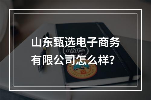 山东甄选电子商务有限公司怎么样？