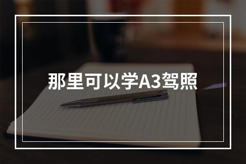 那里可以学A3驾照