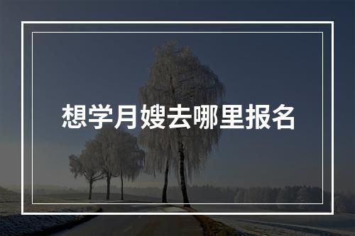 想学月嫂去哪里报名