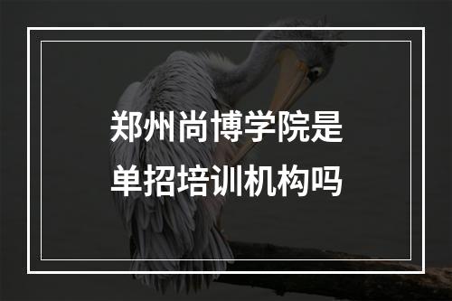 郑州尚博学院是单招培训机构吗