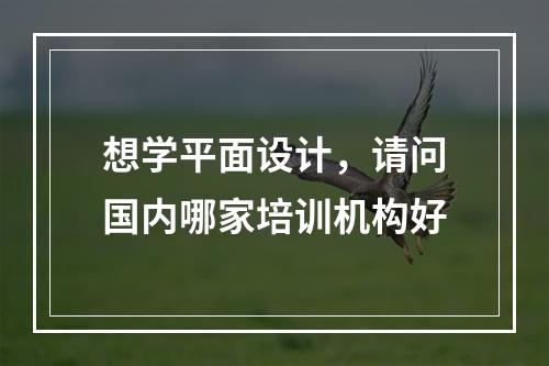 想学平面设计，请问国内哪家培训机构好