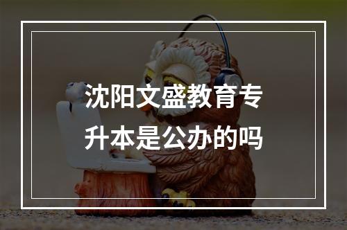 沈阳文盛教育专升本是公办的吗