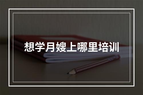 想学月嫂上哪里培训