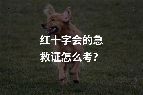 红十字会的急救证怎么考？