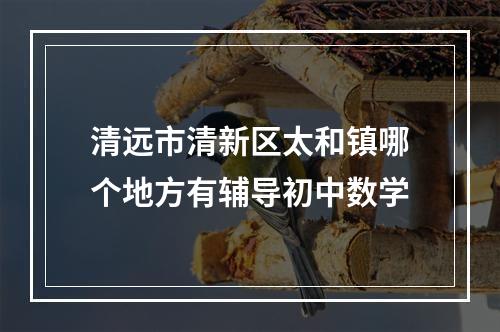 清远市清新区太和镇哪个地方有辅导初中数学