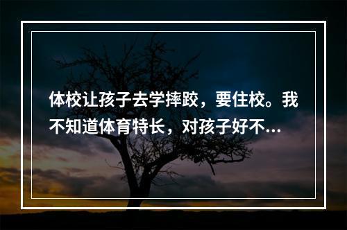 体校让孩子去学摔跤，要住校。我不知道体育特长，对孩子好不好，要是不出成绩，文化课是不是会被淘汰。