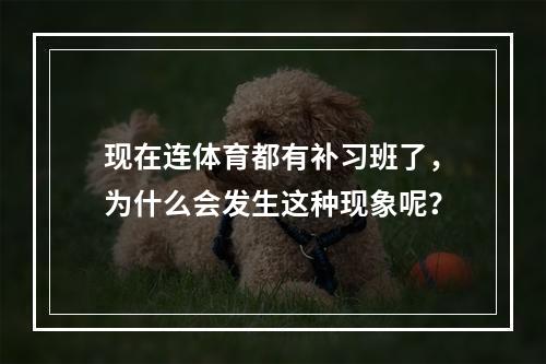 现在连体育都有补习班了，为什么会发生这种现象呢？