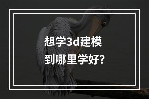 想学3d建模到哪里学好？