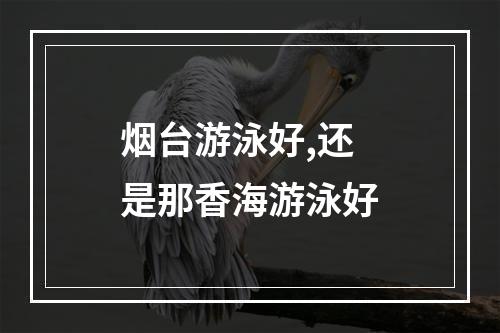 烟台游泳好,还是那香海游泳好