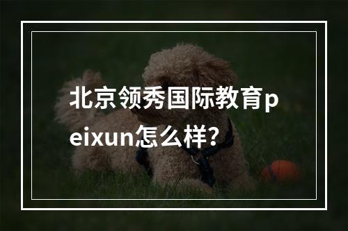 北京领秀国际教育peixun怎么样？