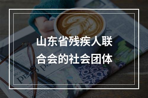 山东省残疾人联合会的社会团体