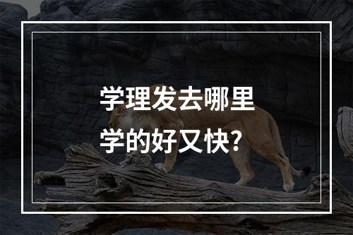 学理发去哪里学的好又快?