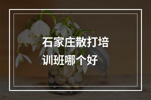 石家庄散打培训班哪个好