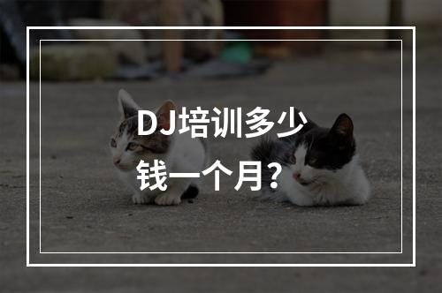 DJ培训多少钱一个月？