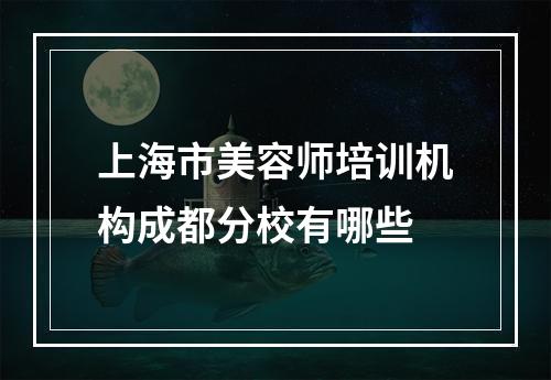 上海市美容师培训机构成都分校有哪些