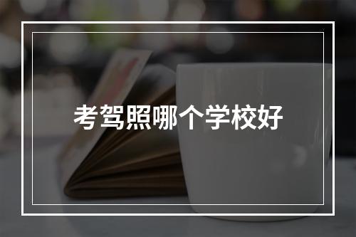 考驾照哪个学校好