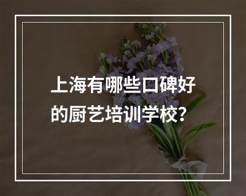 上海有哪些口碑好的厨艺培训学校？