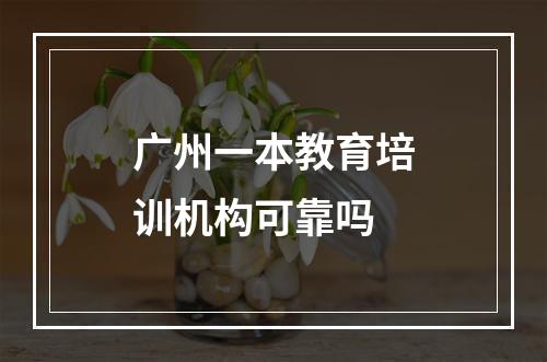 广州一本教育培训机构可靠吗