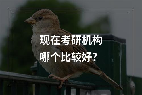 现在考研机构哪个比较好？