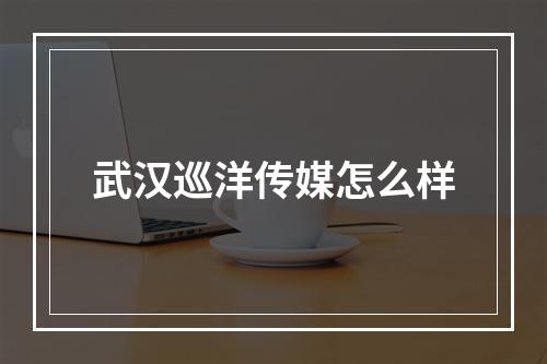 武汉巡洋传媒怎么样