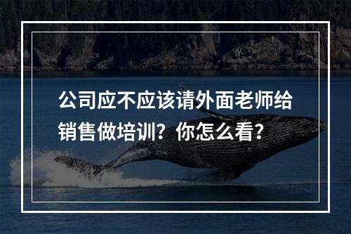 公司应不应该请外面老师给销售做培训？你怎么看？