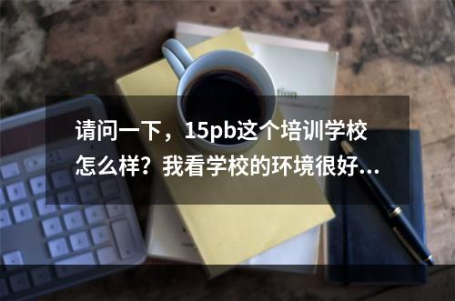 请问一下，15pb这个培训学校怎么样？我看学校的环境很好，而且我也想找一个编程的培训学校。